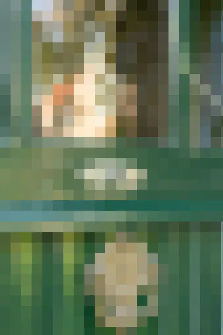 Park Rodichem 84 Huis ter Heide thumbnail 6