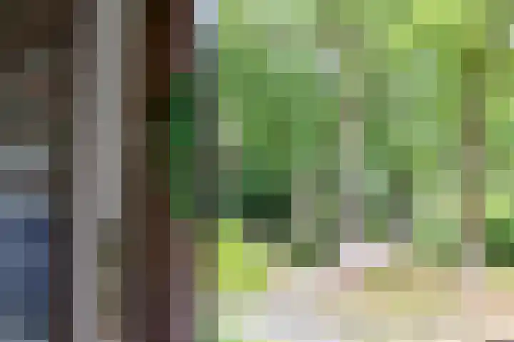 Park Rodichem 90 Huis ter Heide thumbnail 14