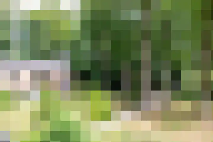 Park Rodichem 90 Huis ter Heide thumbnail 16