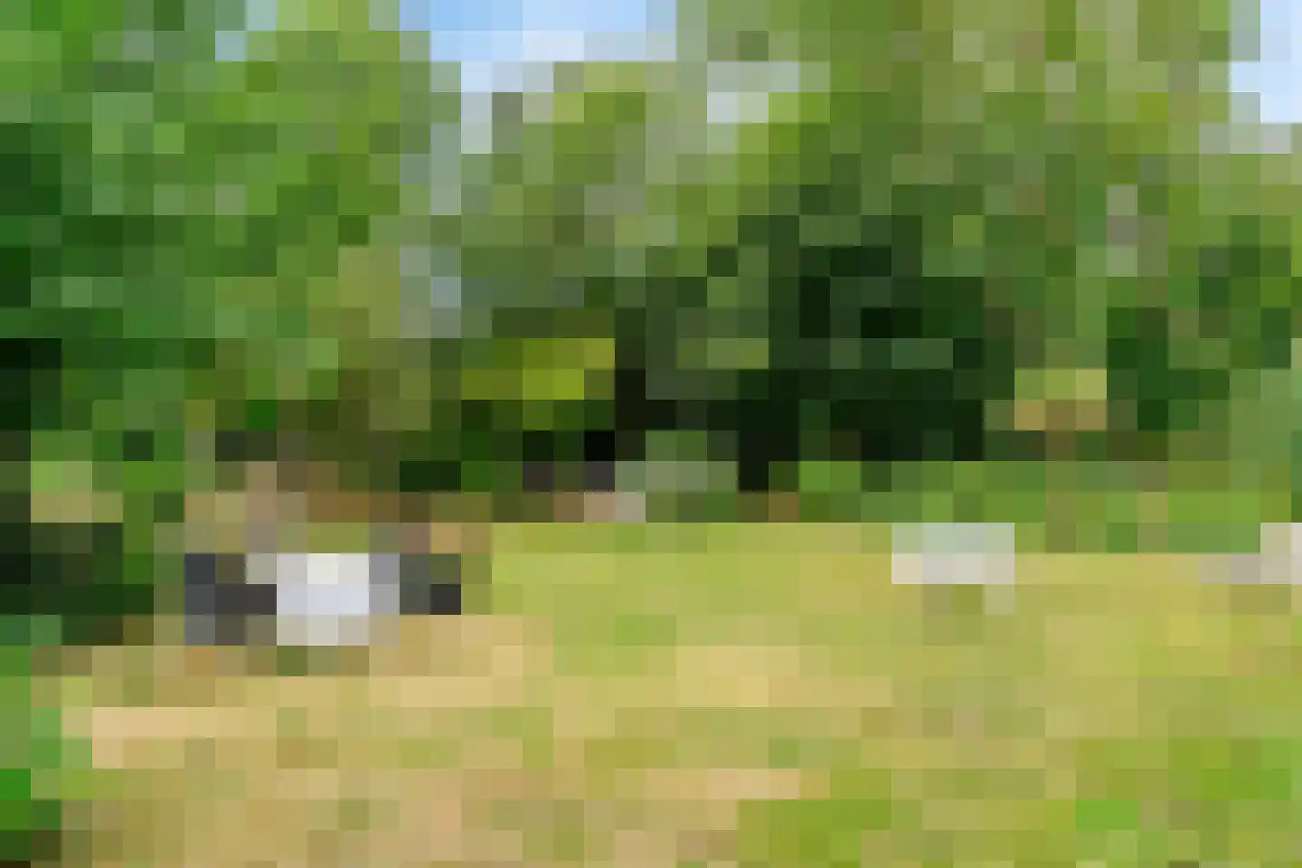 Park Sans Souci 23 Zevenhoven thumbnail 29