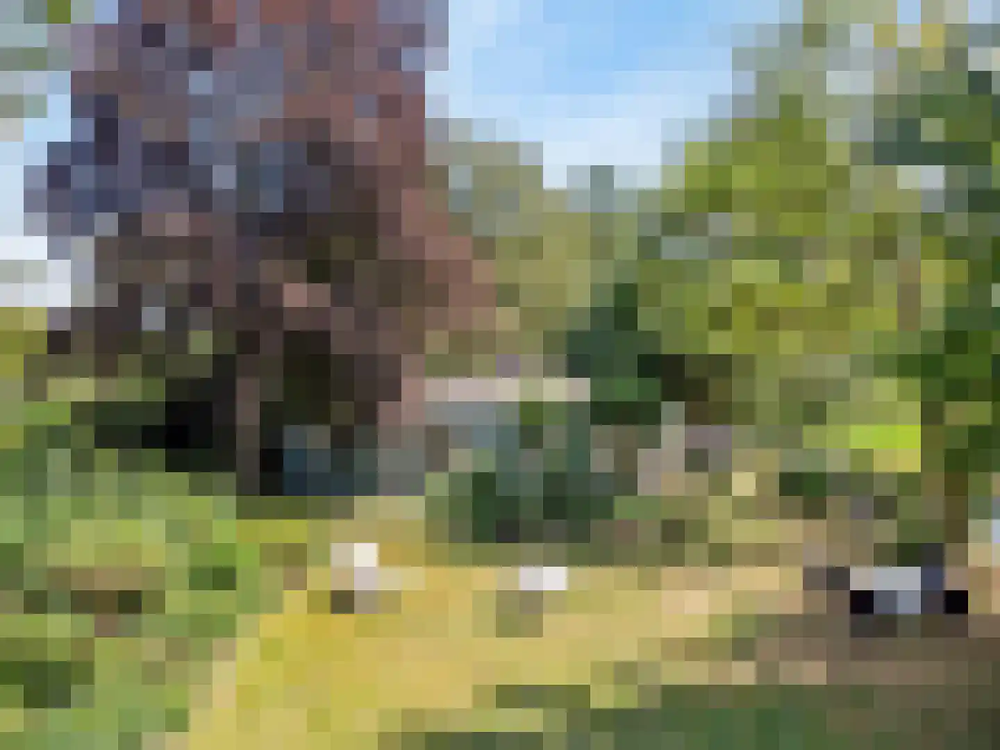 Park Sans Souci 23 Zevenhoven thumbnail 31