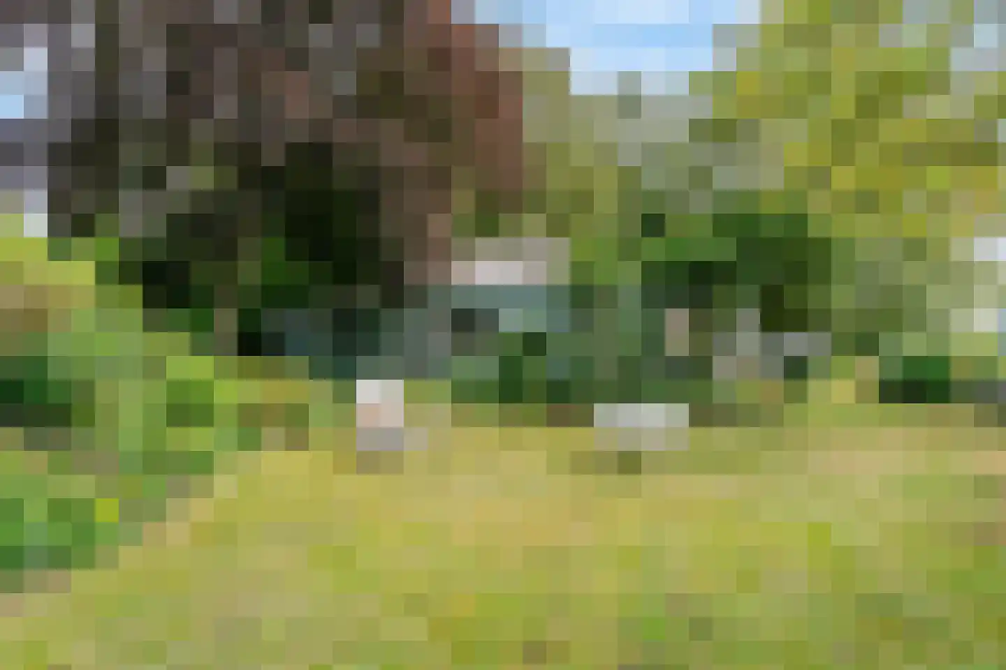 Park Sans Souci 23 Zevenhoven thumbnail 32