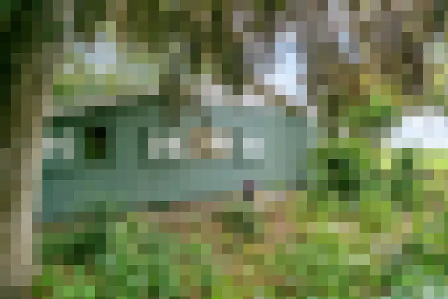 Park Sans Souci 23 Zevenhoven thumbnail 33