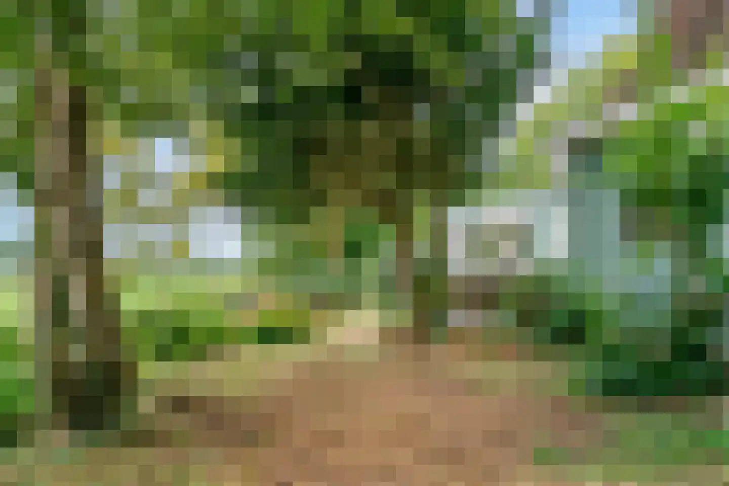 Park Sans Souci 23 Zevenhoven thumbnail 36