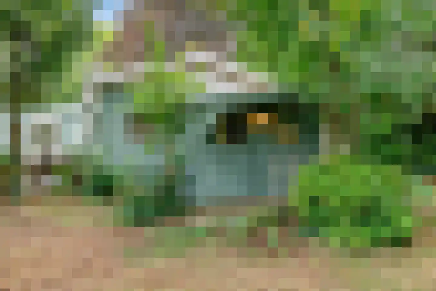 Park Sans Souci 23 Zevenhoven thumbnail 37