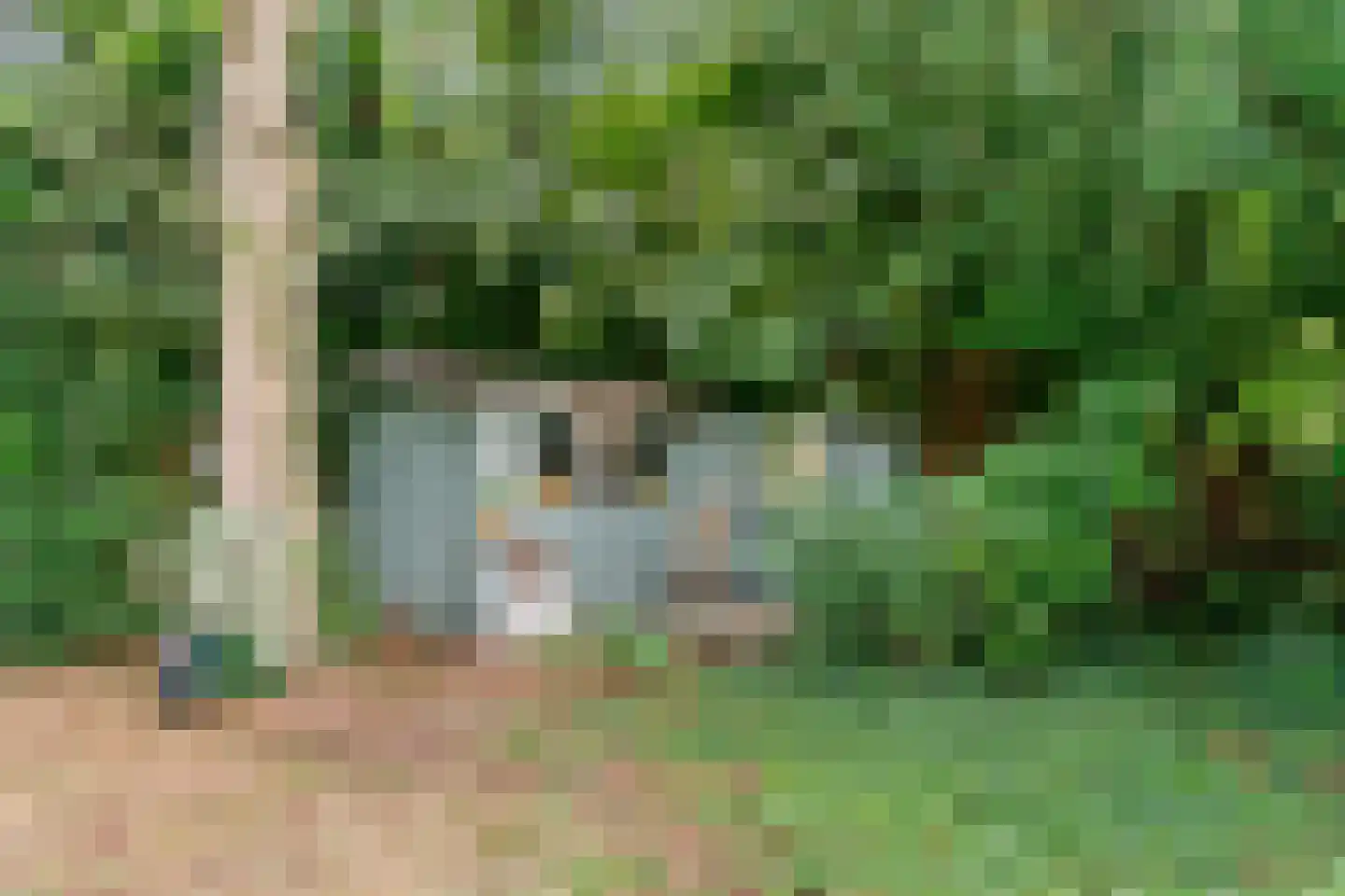 Park Sans Souci 23 Zevenhoven thumbnail 38