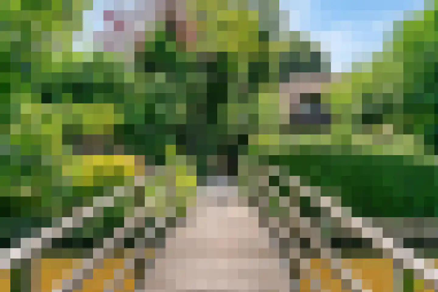 Park Sans Souci 23 Zevenhoven thumbnail 40