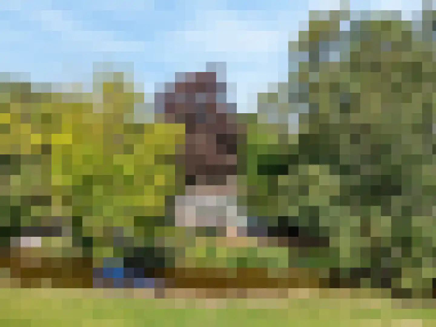 Park Sans Souci 23 Zevenhoven thumbnail 43