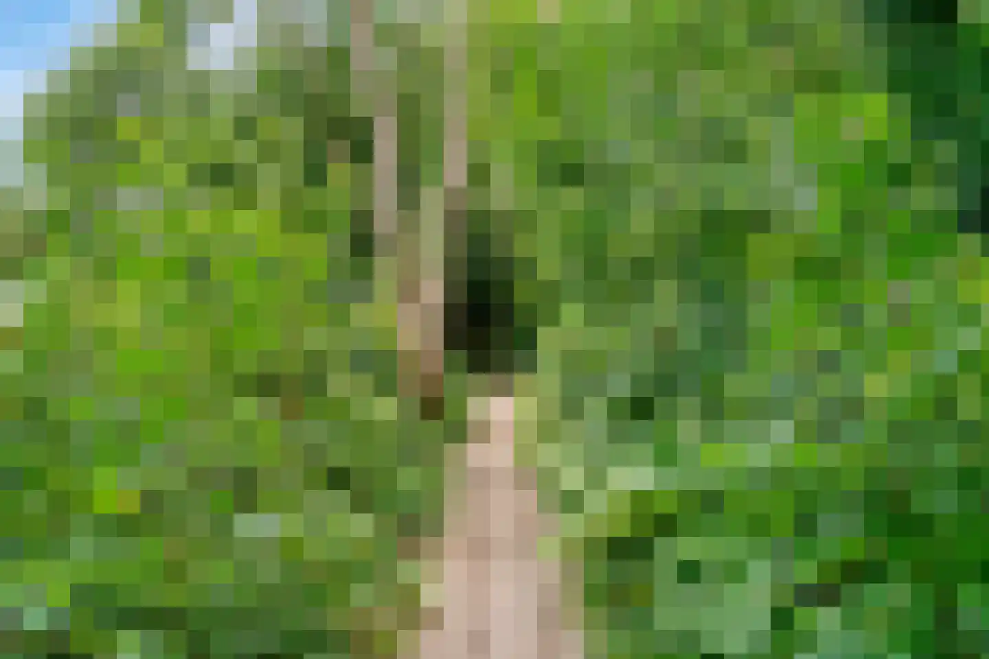 Park Sans Souci 23 Zevenhoven thumbnail 45