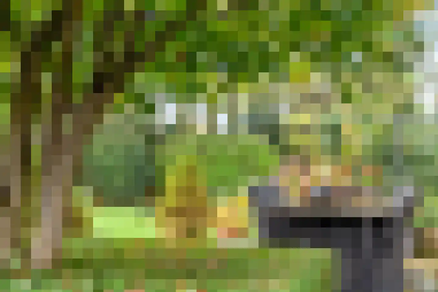 Park Schoonoord 12 Hoogland thumbnail 22
