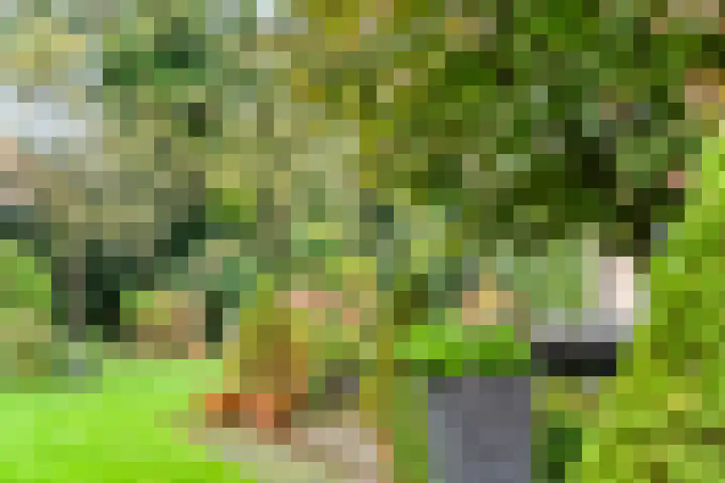 Park Schoonoord 12 Hoogland thumbnail 23