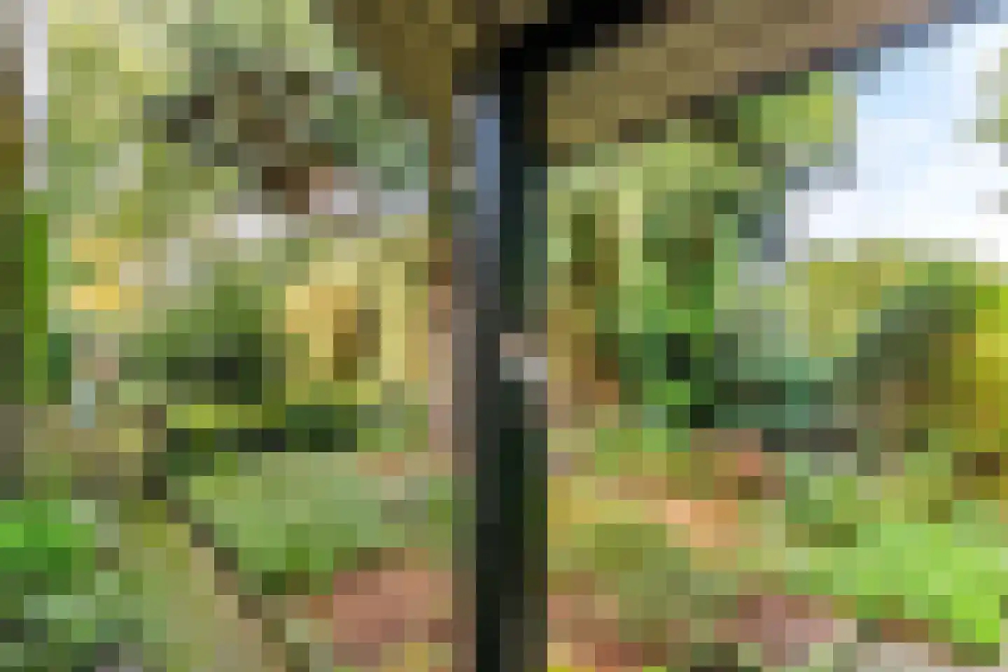 Park Schoonoord 12 Hoogland thumbnail 4