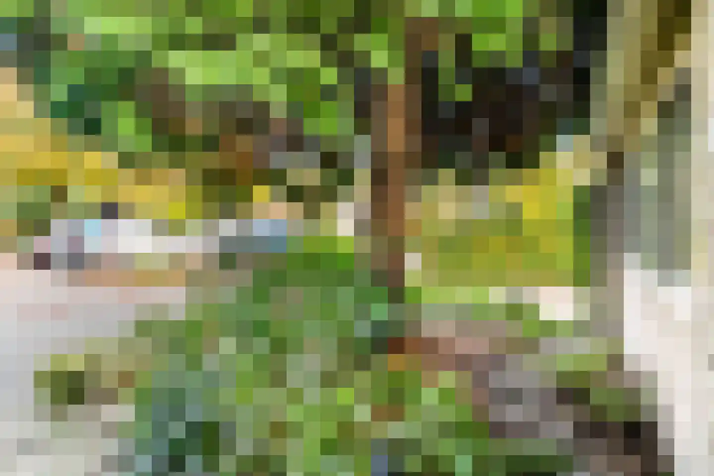 Park Schoonoord 12 Hoogland thumbnail 46
