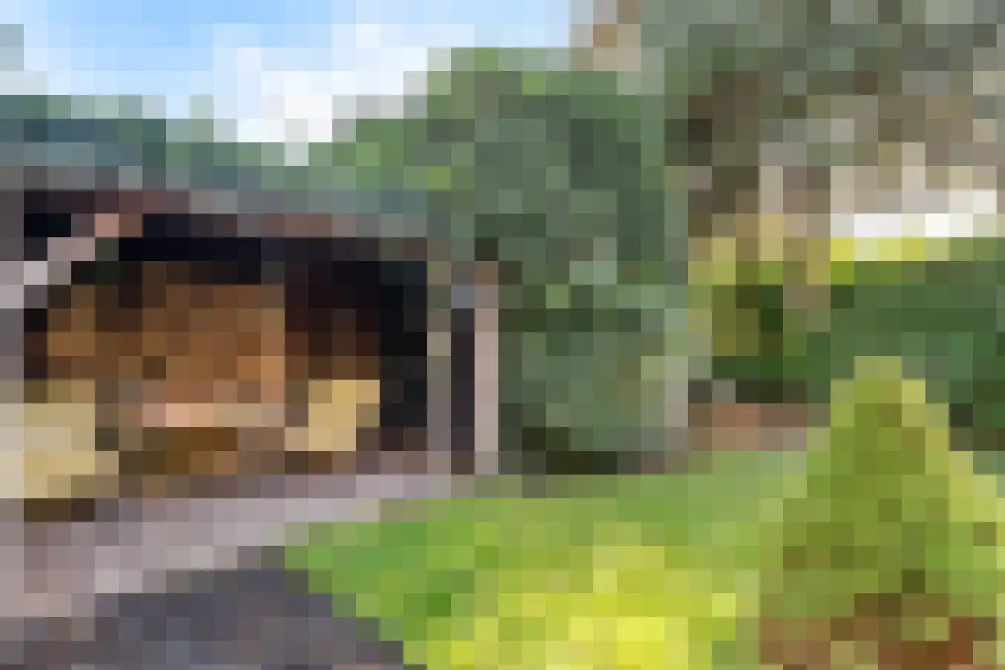 Park Schoonoord 12 Hoogland thumbnail 47