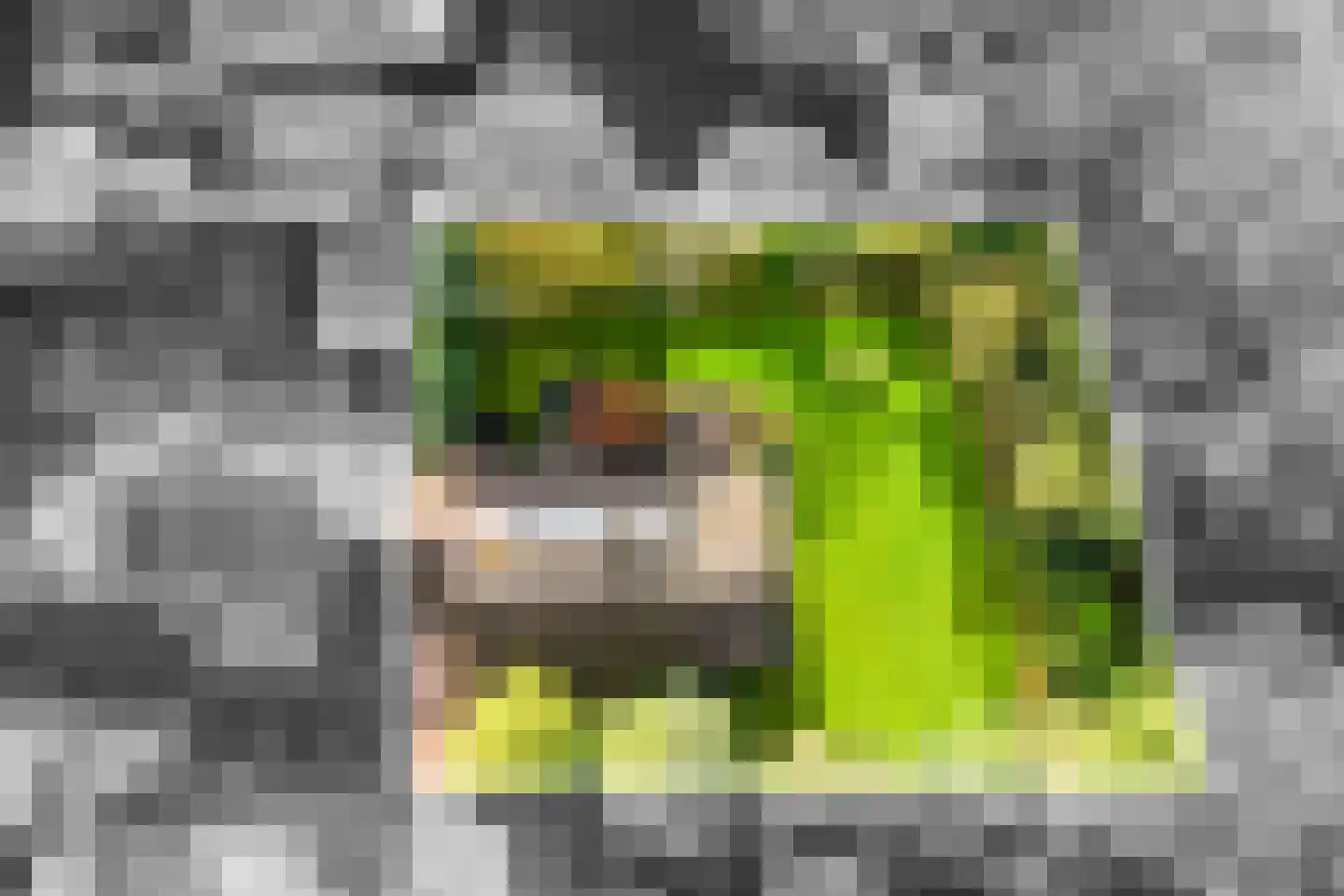Park Schoonoord 12 Hoogland thumbnail 52