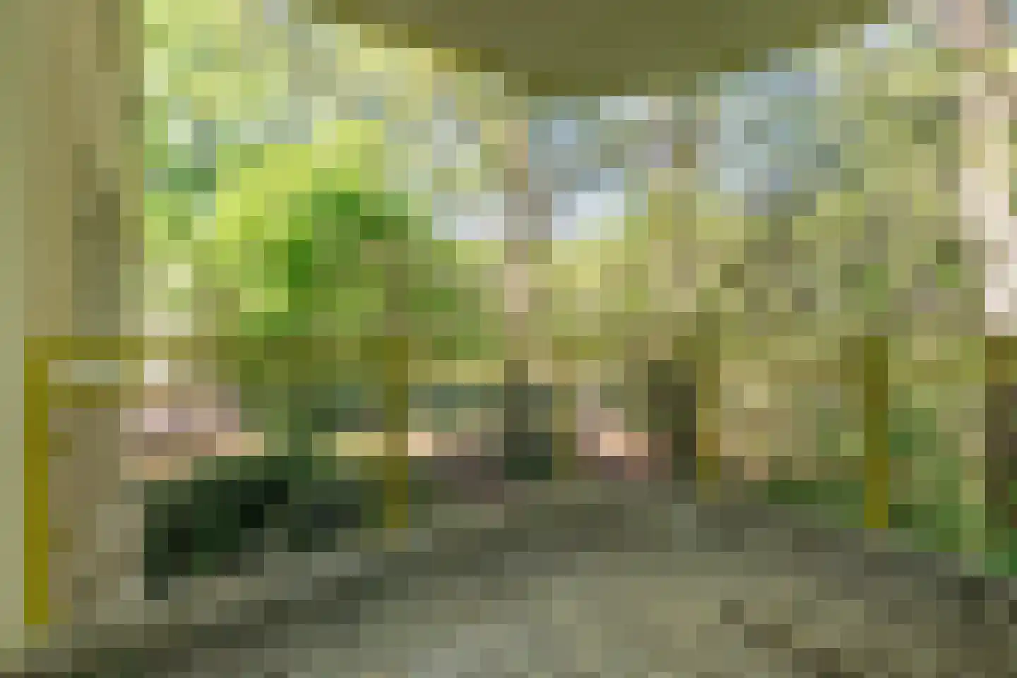 Park Sparrendaal 110 Driebergen-Rijsenburg thumbnail 17