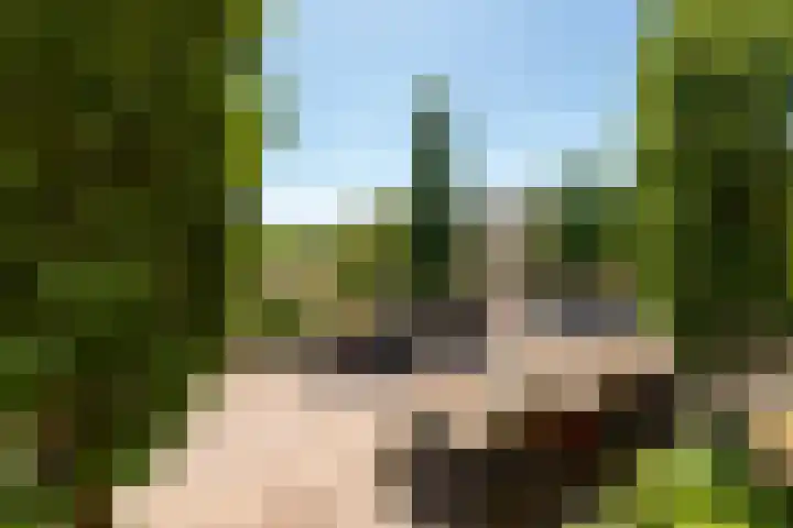 Park Sparrendaal 112 Driebergen-Rijsenburg thumbnail 20