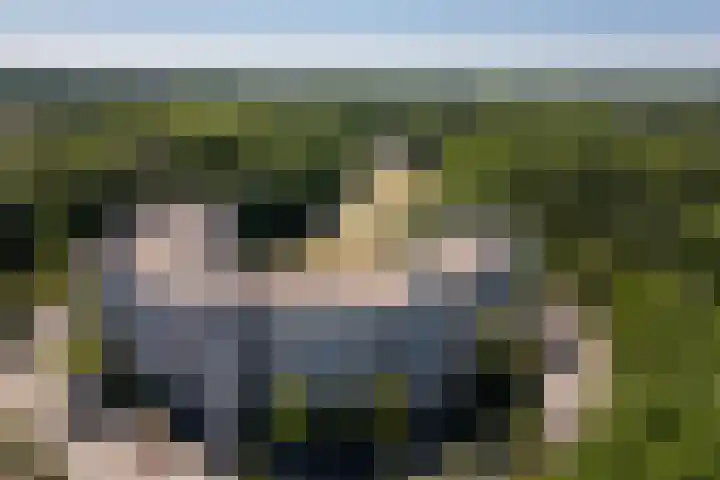 Park Sparrendaal 112 Driebergen-Rijsenburg thumbnail 41