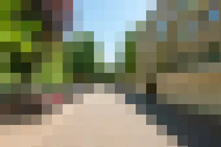 Park Sparrendaal 112 Driebergen-Rijsenburg thumbnail 5
