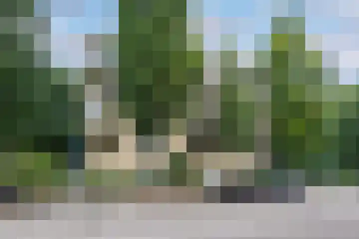 Park Sparrendaal 113 Driebergen-Rijsenburg thumbnail 26