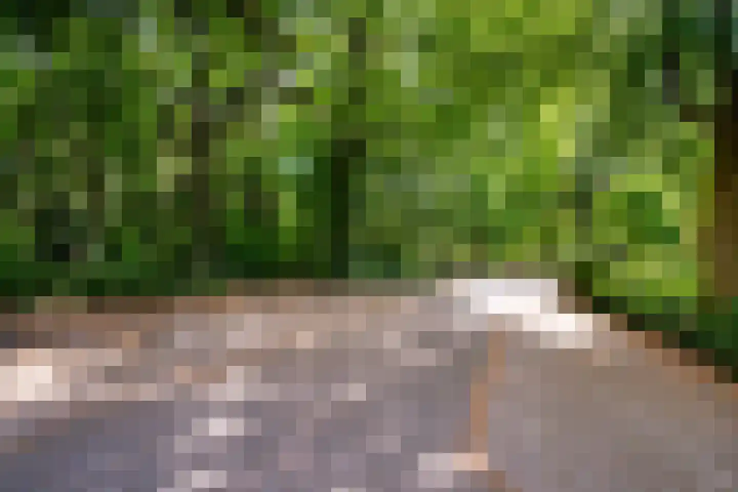 Park Sparrendaal 133 Driebergen-Rijsenburg thumbnail 26