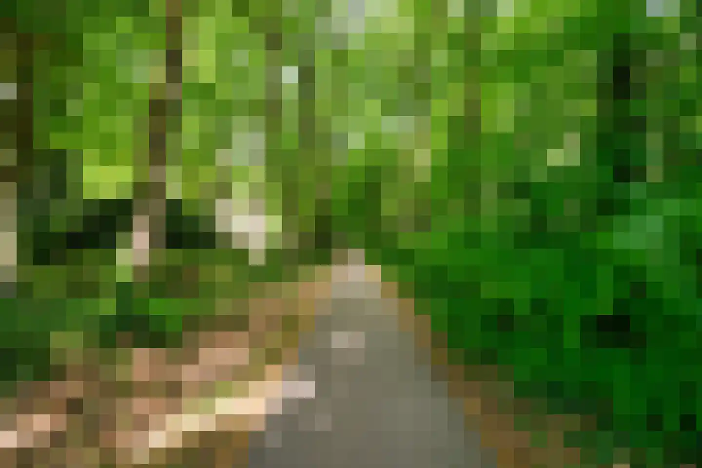 Park Sparrendaal 133 Driebergen-Rijsenburg thumbnail 28
