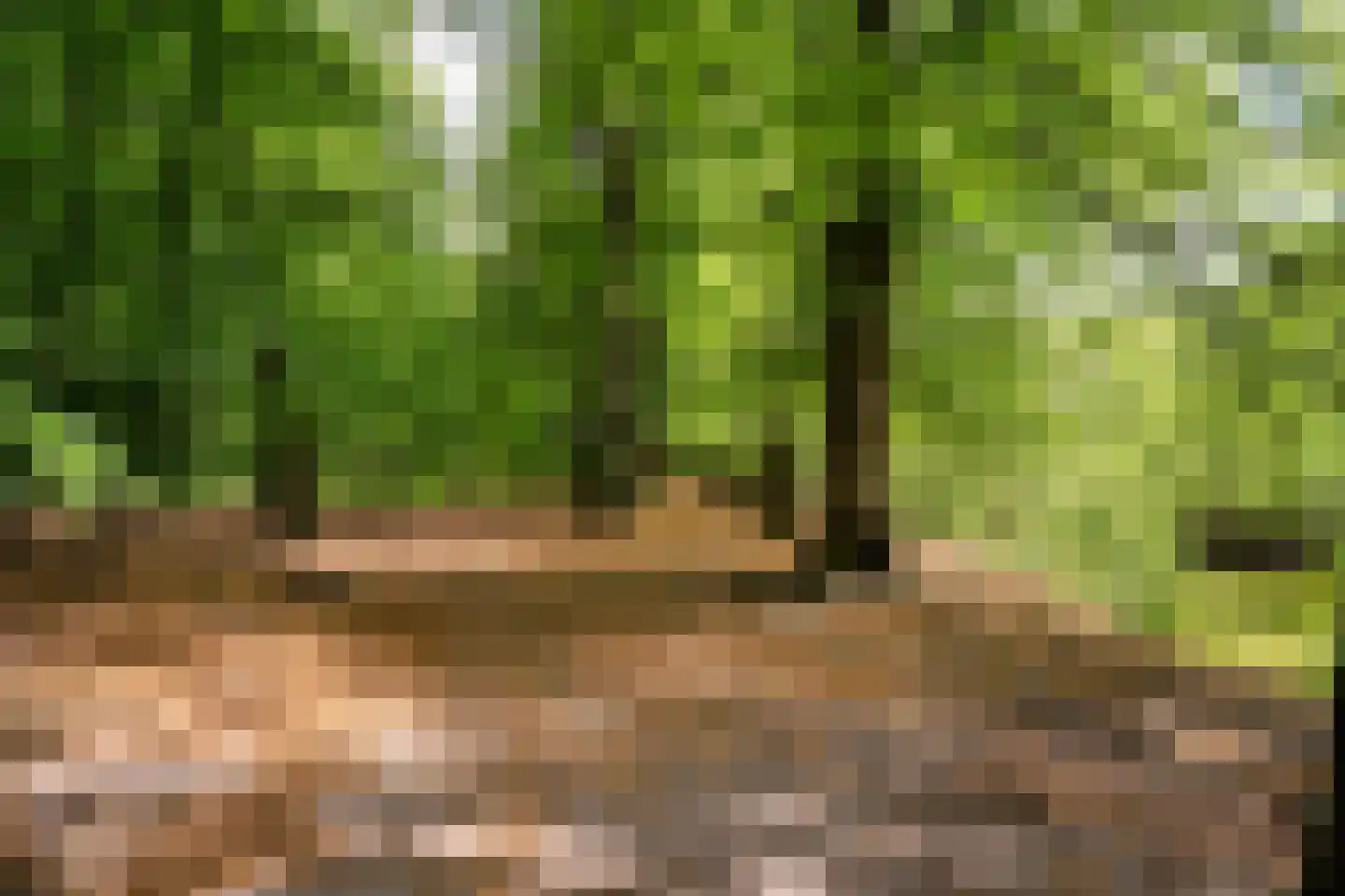 Park Sparrendaal 133 Driebergen-Rijsenburg thumbnail 29