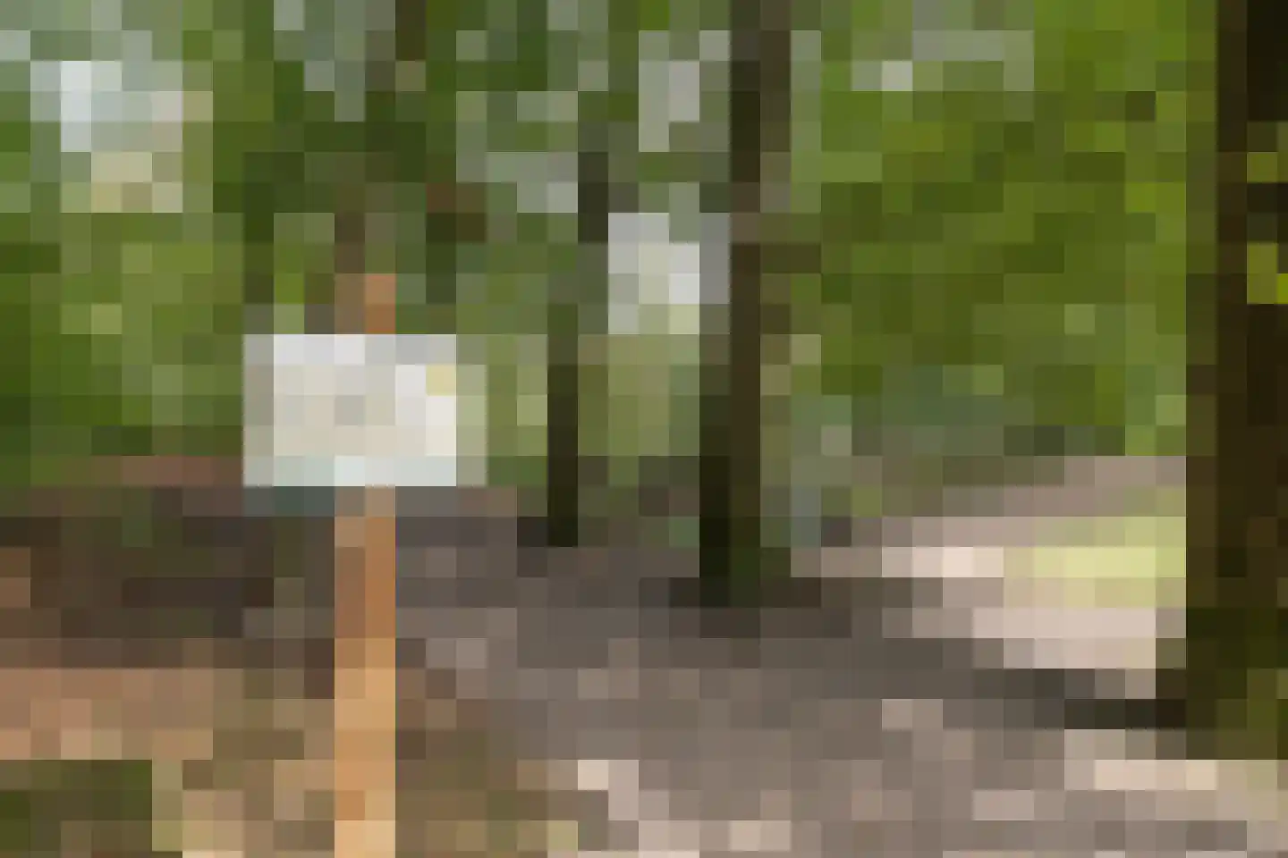 Park Sparrendaal 136 Driebergen-Rijsenburg thumbnail 40