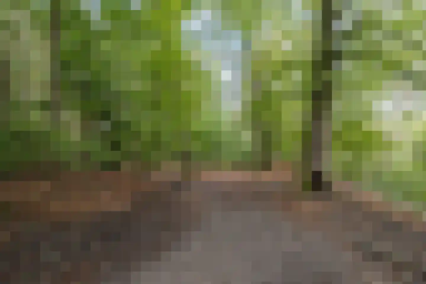 Park Sparrendaal 136 Driebergen-Rijsenburg thumbnail 41