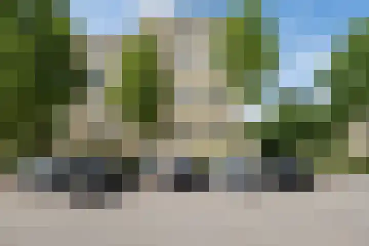 Park Sparrendaal 17 Driebergen-Rijsenburg thumbnail 32