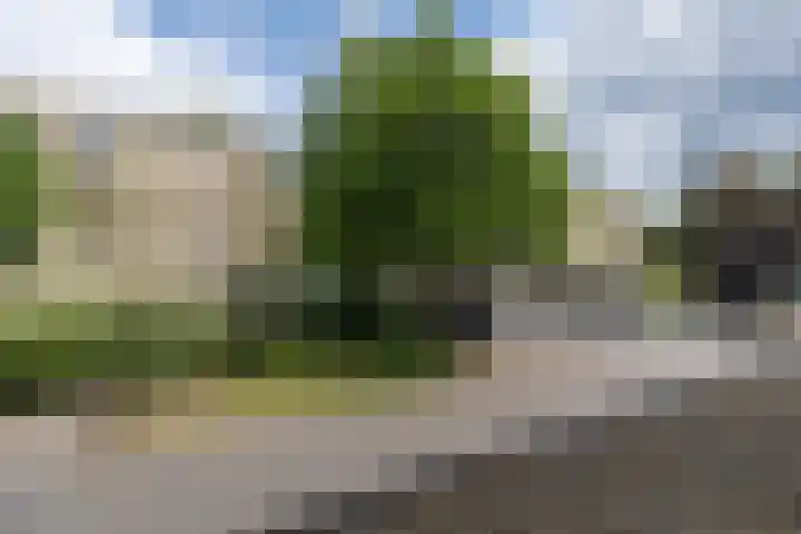 Park Sparrendaal 17 Driebergen-Rijsenburg thumbnail 34