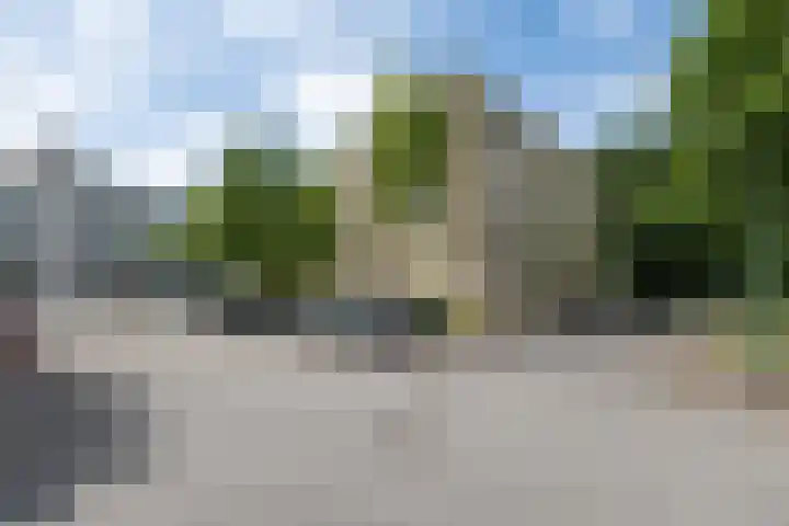 Park Sparrendaal 17 Driebergen-Rijsenburg thumbnail 35