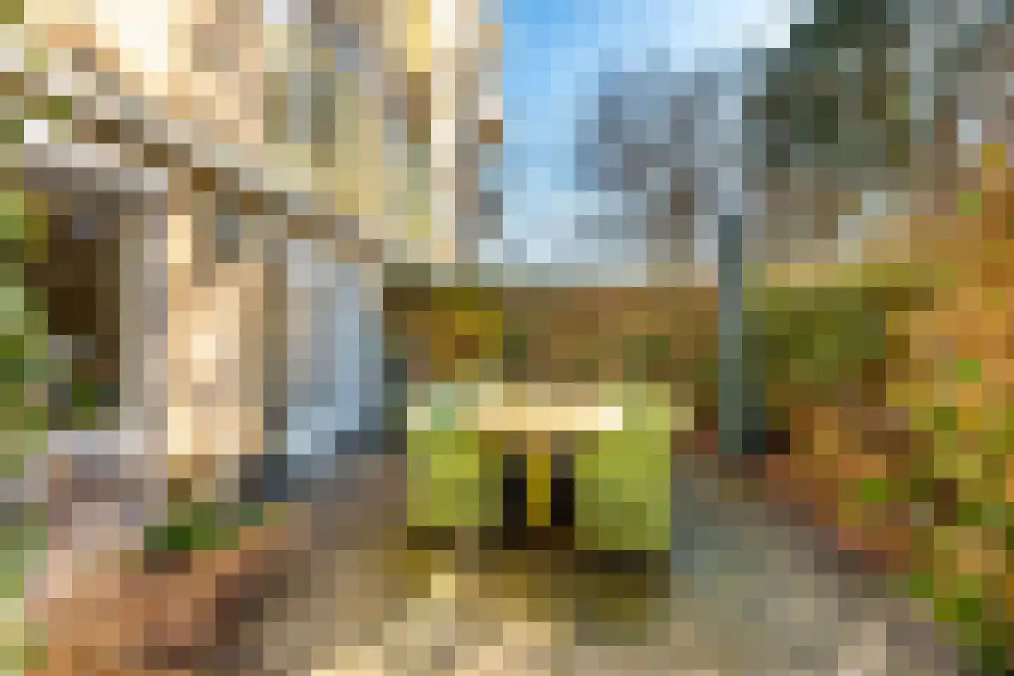 Park Sparrendaal 30 Driebergen-Rijsenburg thumbnail 20