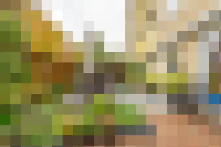 Park Sparrendaal 77 Driebergen-Rijsenburg thumbnail 43