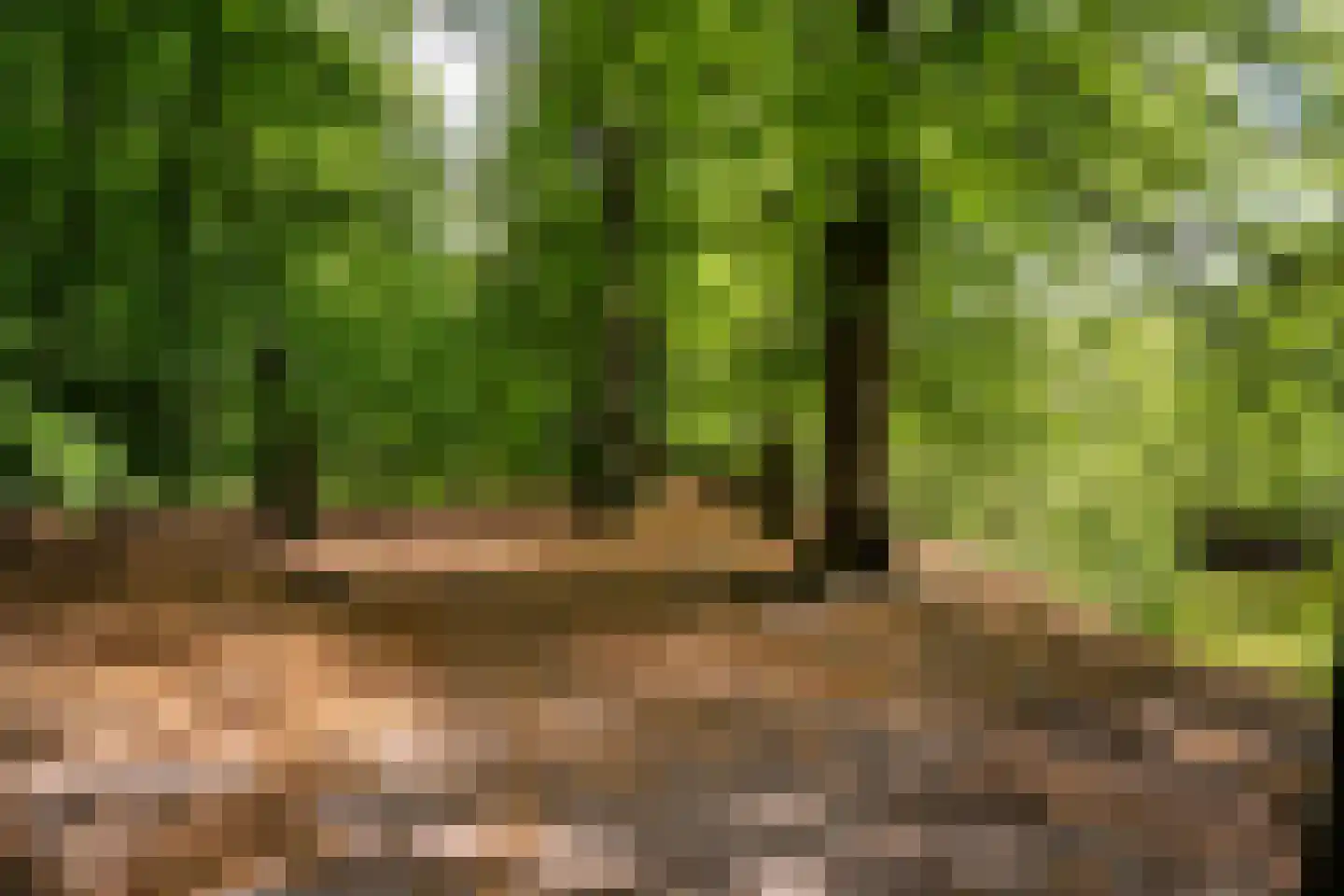 Park Sparrendaal 79 Driebergen-Rijsenburg thumbnail 33