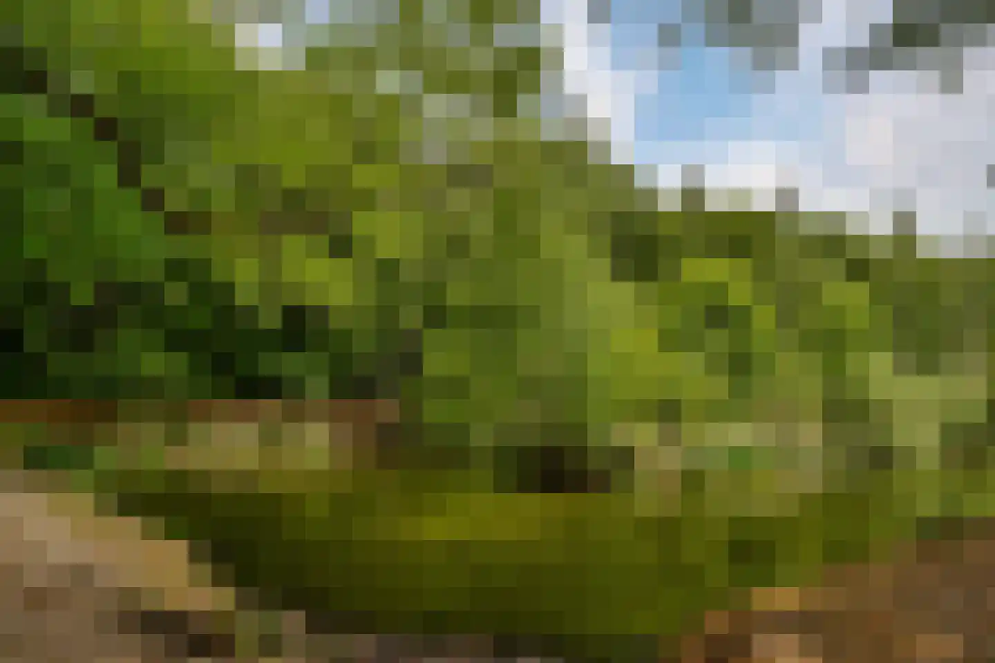 Park Sparrendaal 79 Driebergen-Rijsenburg thumbnail 34