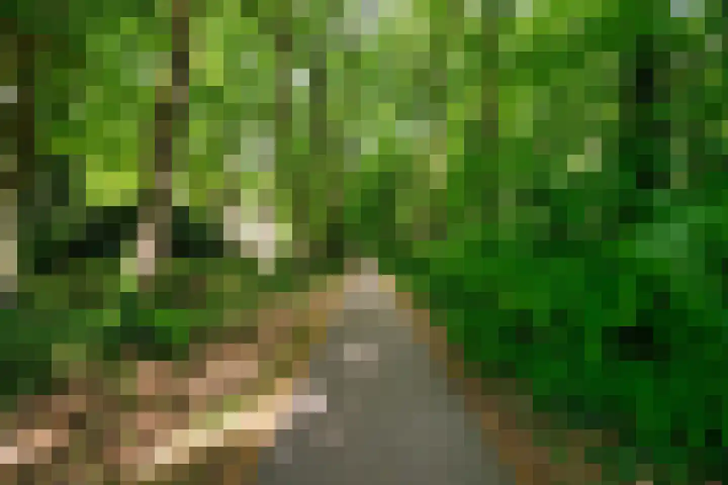 Park Sparrendaal 79 Driebergen-Rijsenburg thumbnail 35