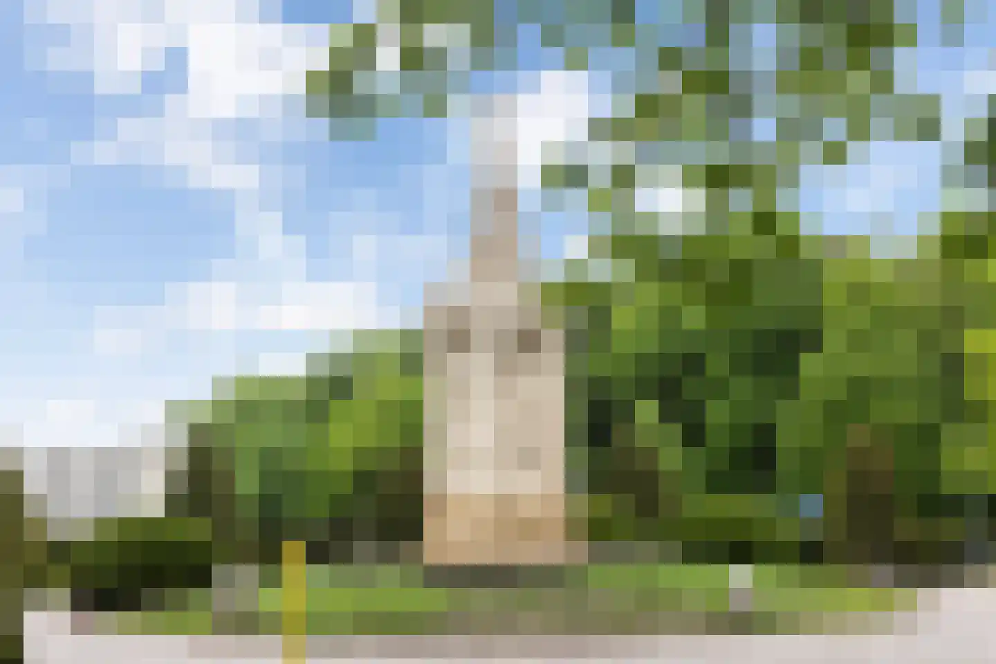 Park Sparrendaal 79 Driebergen-Rijsenburg thumbnail 5