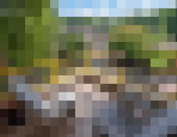 Park Sparrendaal 81 Driebergen-Rijsenburg thumbnail 18