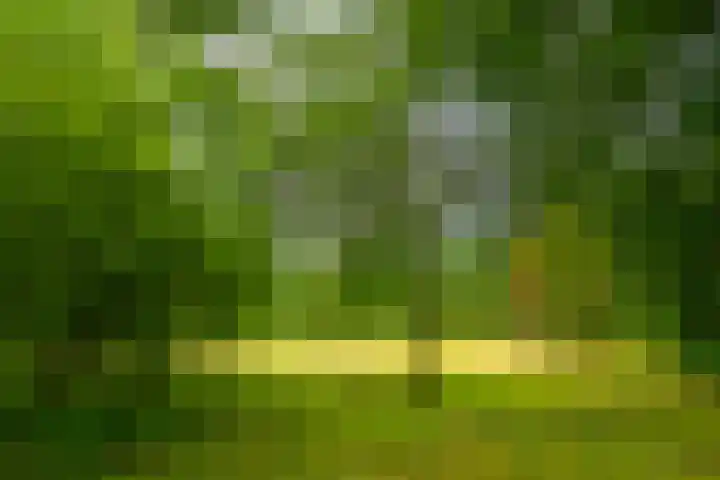 Park Sparrendaal 81 Driebergen-Rijsenburg thumbnail 23