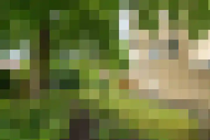 Park Sparrendaal 81 Driebergen-Rijsenburg thumbnail 27