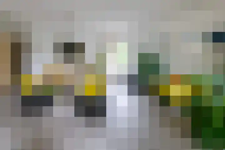 Park Sparrendaal 81 Driebergen-Rijsenburg thumbnail 8