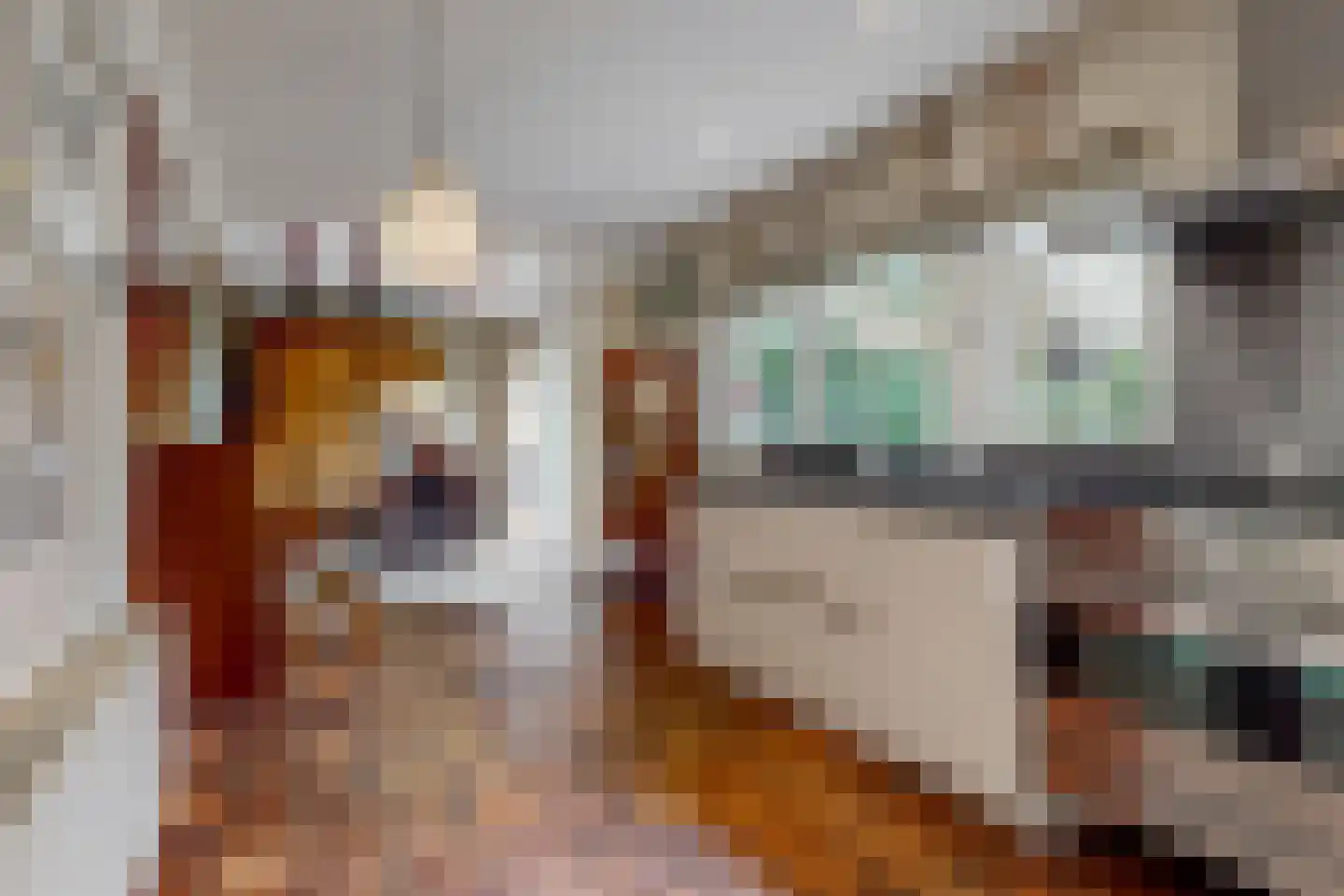 Park Te Horn 1 Koudekerk aan den Rijn thumbnail 14