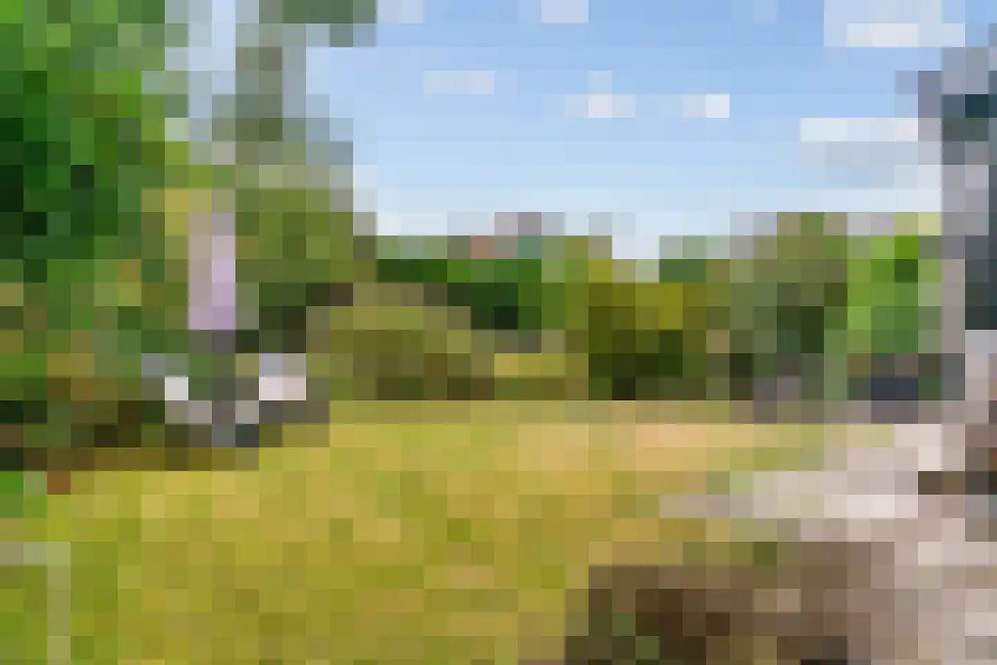 Park Te Horn 1 Koudekerk aan den Rijn thumbnail 38