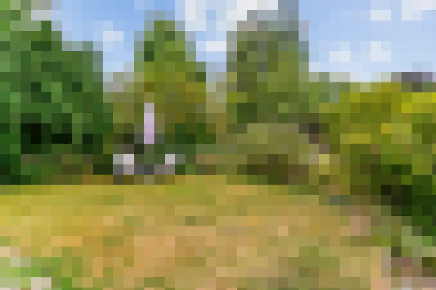 Park Te Horn 1 Koudekerk aan den Rijn thumbnail 39
