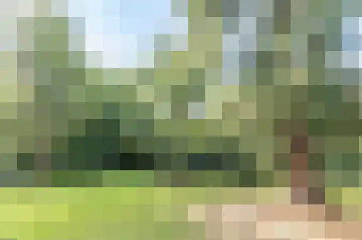Park Vredehof 12 Soest thumbnail 31