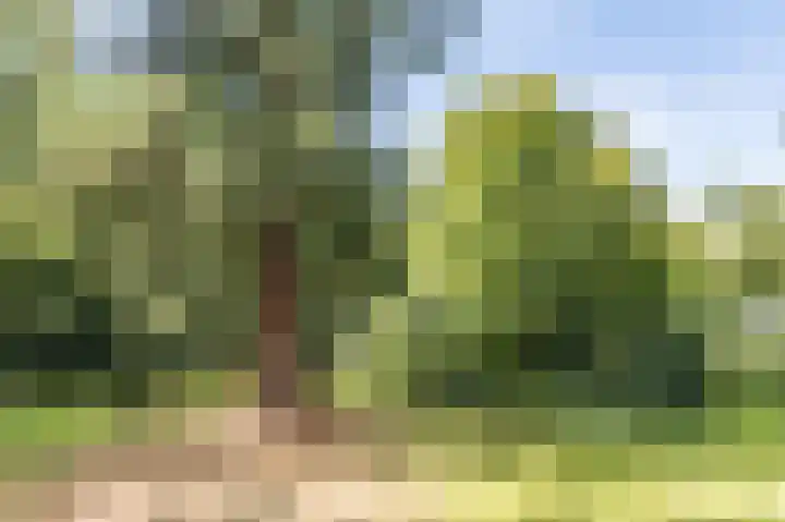 Park Vredehof 12 Soest thumbnail 32