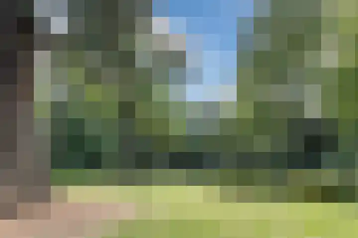 Park Vredehof 12 Soest thumbnail 39