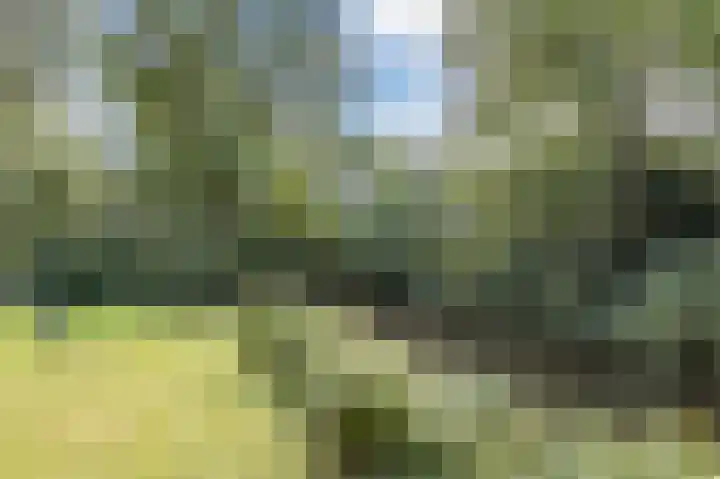 Park Vredehof 12 Soest thumbnail 40
