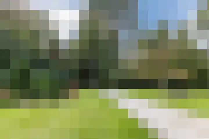 Park Vredehof 12 Soest thumbnail 41